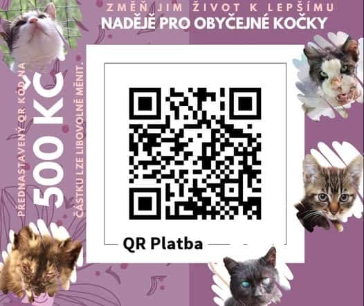 QR platba faust