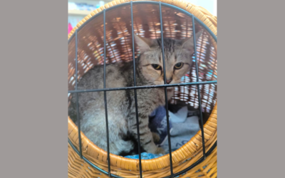 Jsem unavená a frustrovaná 😞