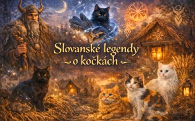 Kočky a Slované